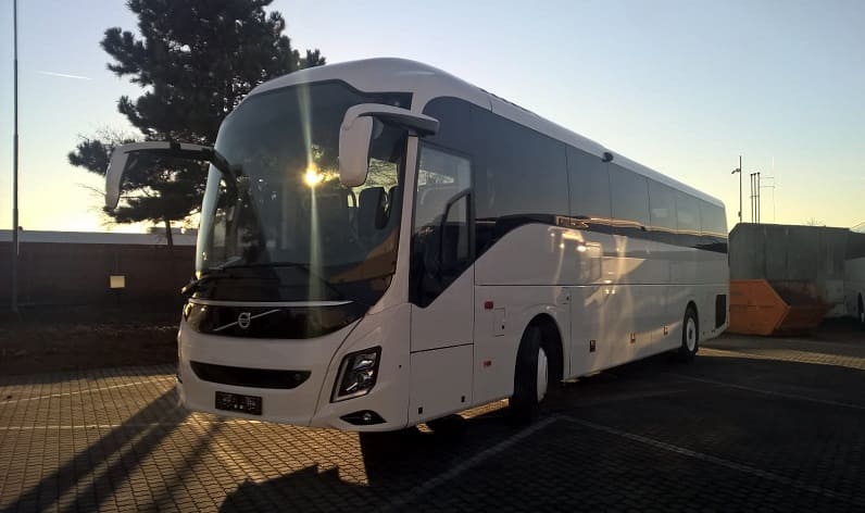 Saxony: Bus hire in Delitzsch in Delitzsch and Germany